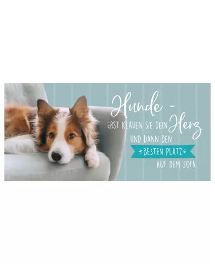 Collie Hund - Bester Platz Tasse
